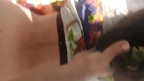 Indian Xxx Video Free